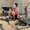 Zuhause oder Pflegestelle gesucht für Mi
