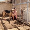 Zuhause oder Pflegestelle gesucht für Mi