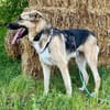 Kara, offen, lernwillig, freundlich