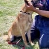 Liebevolle Seele RUBY in Bayern ‼‼🆘🆘