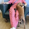 Florinda, neugierig, verspielt, offen