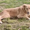 Lina, aufgeweckt, offen, lernwillig