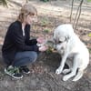 Ausgeglichene, kinderliebe Pina sucht