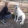 Ausgeglichene, kinderliebe Pina sucht