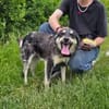 Leo sucht seine Familie