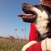 Leo sucht seine Familie
