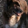 STELLA - fitte und sportliche Rentnerin!
