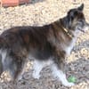 STELLA - fitte und sportliche Rentnerin!