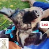 Lea - süße Schmuserin sucht Führung