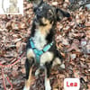Lea - süße Schmuserin sucht Führung