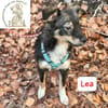 Lea - süße Schmuserin sucht Führung