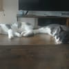 LUNE et JERRY