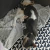 LUNE et JERRY