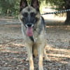 JARA