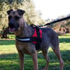 OTTO