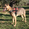 OTTO