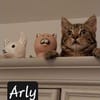 ARLY