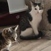 ***MADDIE und THEA im Doppelpack!