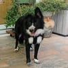 KIRA - auf Pflege in 96xxx Weißenbrunn!