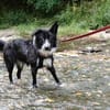 KIRA - auf Pflege in 96xxx Weißenbrunn!