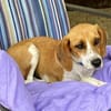 Bonny, verschmust, neugierig, offen