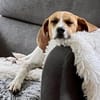 Bonny, verschmust, neugierig, offen