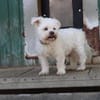 Zeus, lieber Opi