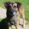 Ruhiger Jimmie sucht Frauenhaushalt