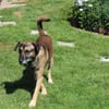 Ruhiger Jimmie sucht Frauenhaushalt