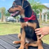 William 💙befreit aus schlechter Haltung