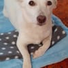 Masha ist so liebenswert und bescheiden!