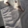 Masha ist so liebenswert und bescheiden!