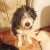 ROSALIA
