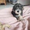 ATOS, le magnifique !