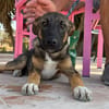 BEASLEY (Maria)