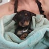 Ataya, un bout de chou d'amour
