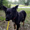Zorka