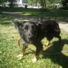 Zorka
