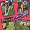 Sanfte Mirella sucht Herzensmenschen!