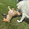 Sanfte Mirella sucht Herzensmenschen!