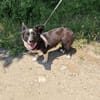 Liska einfach nur lieb