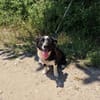 Liska einfach nur lieb