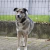 Lenja ist so eine liebe Seele!