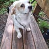 Minikleine Bonnie sucht ihre Menschen