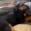 Zuckersüße 🐾💕Sky🐾💕 sucht ihr Zuhause