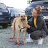 Madison sucht Geborgenheit
