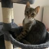 Schüchterne Lilly sucht ihre Familie