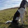 Hazel sucht eine neue Familie