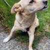 Kleine Liebe Tissa sucht ihre Familie