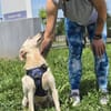 ❤ Bongo, Pflegefamilie Erkelenz